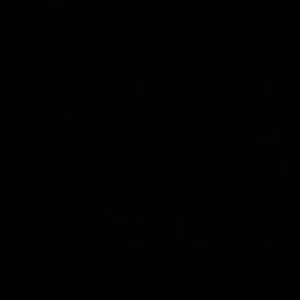 Meet your Posher, Sadie